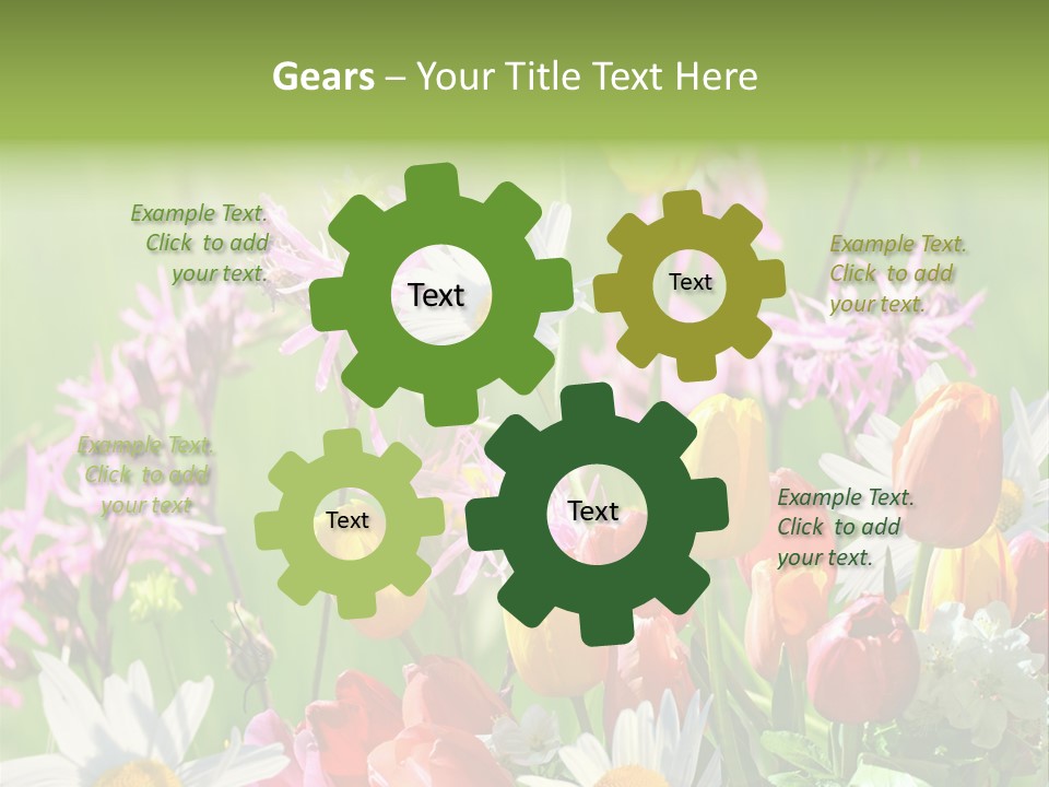 Wiese Blumen Vogelnest PowerPoint Template