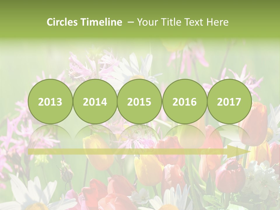 Wiese Blumen Vogelnest PowerPoint Template
