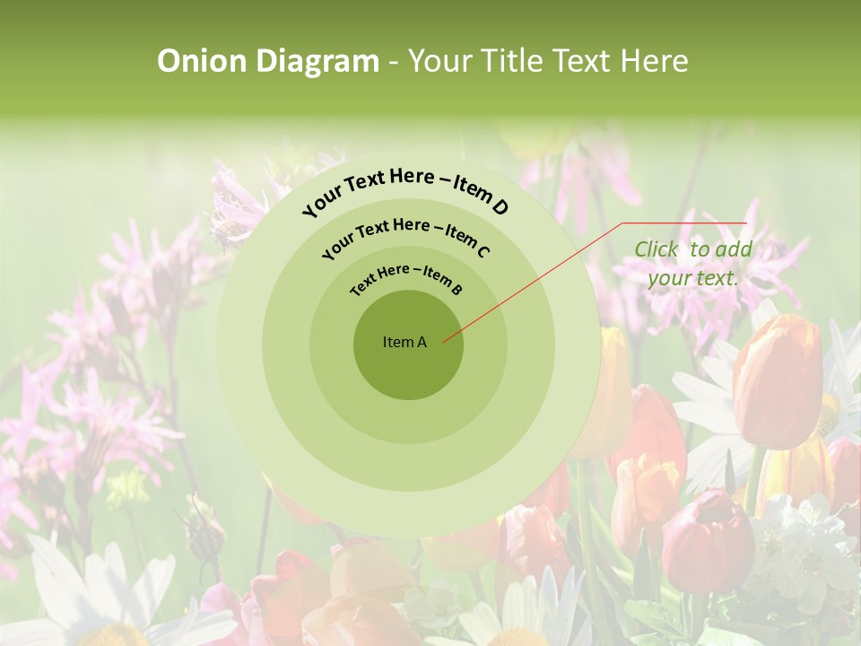 Wiese Blumen Vogelnest PowerPoint Template