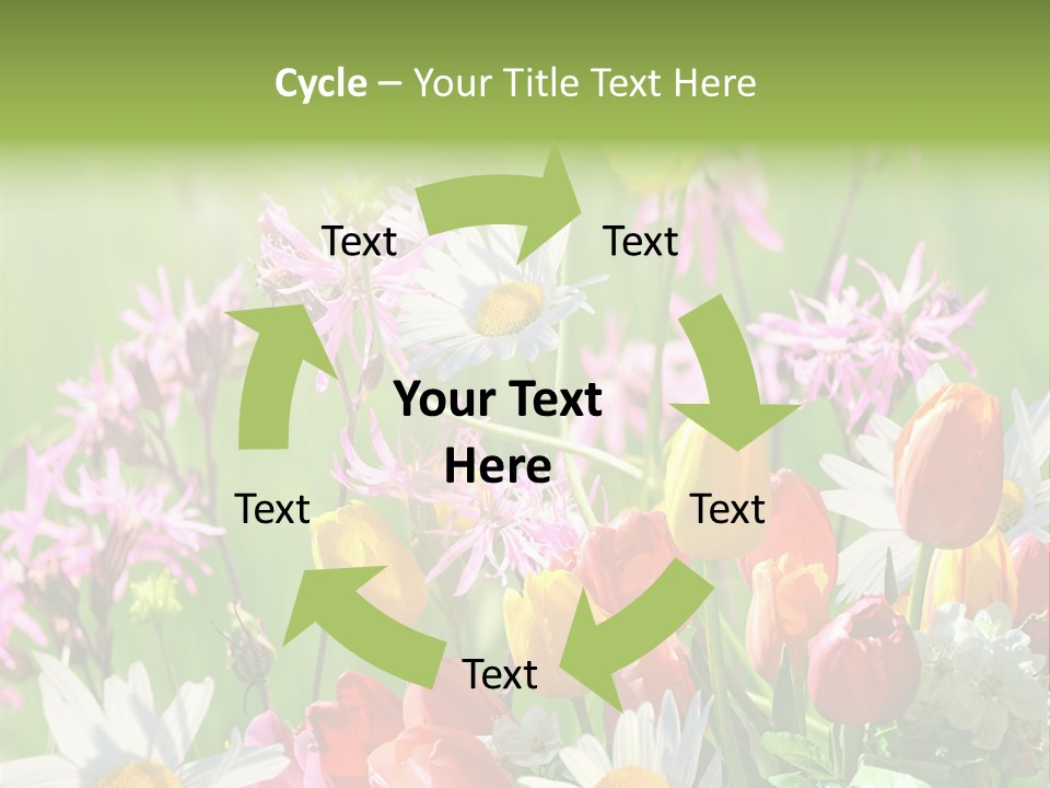 Wiese Blumen Vogelnest PowerPoint Template