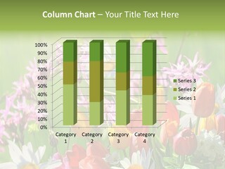 Wiese Blumen Vogelnest PowerPoint Template