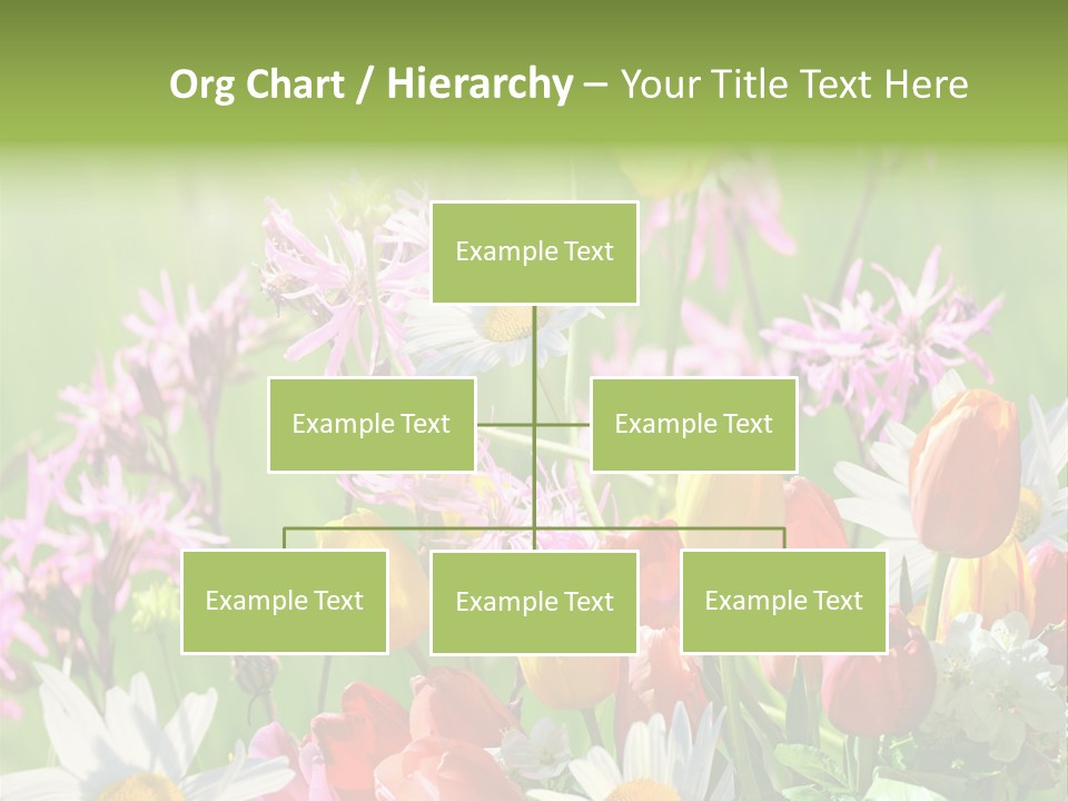Wiese Blumen Vogelnest PowerPoint Template