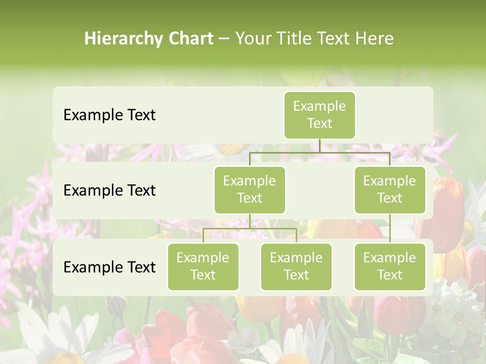Wiese Blumen Vogelnest PowerPoint Template