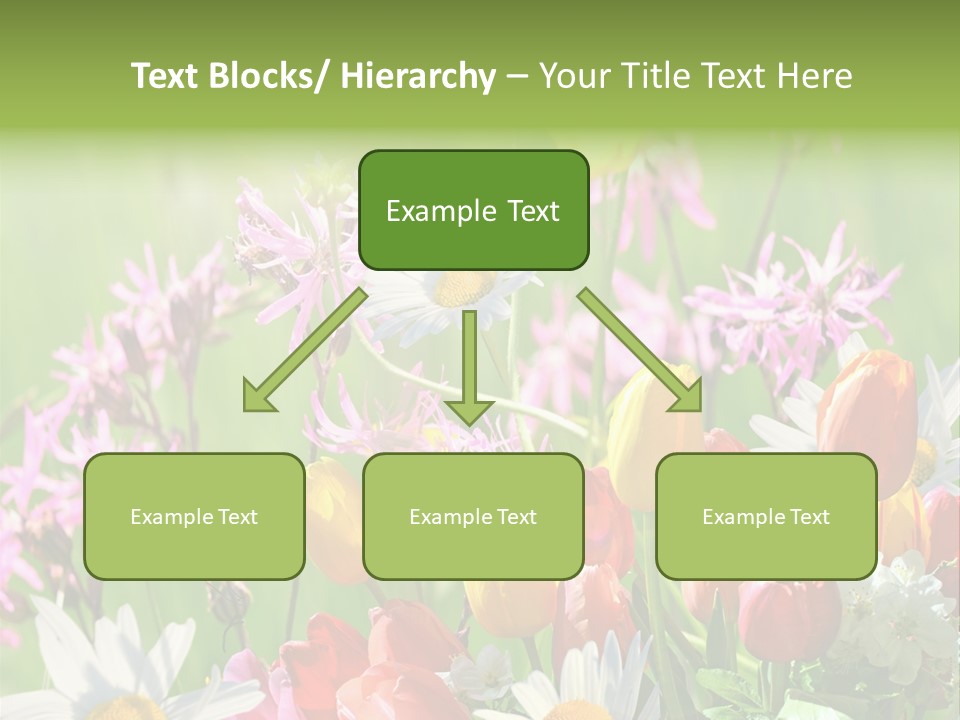 Wiese Blumen Vogelnest PowerPoint Template