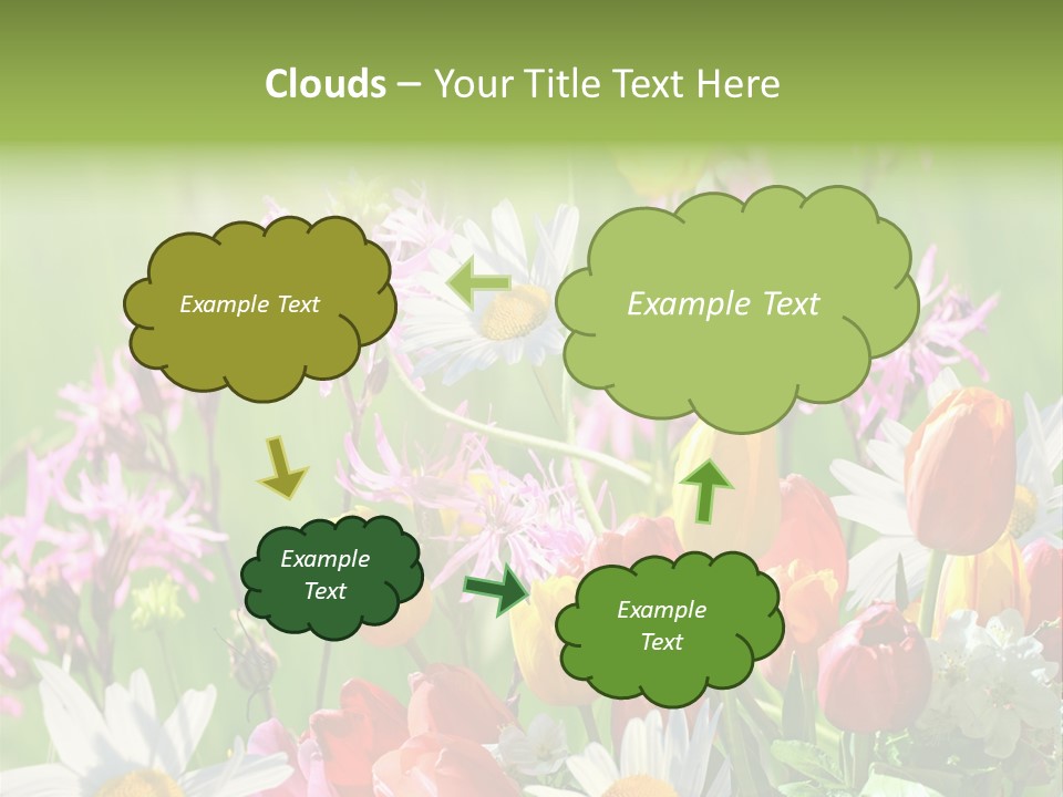 Wiese Blumen Vogelnest PowerPoint Template