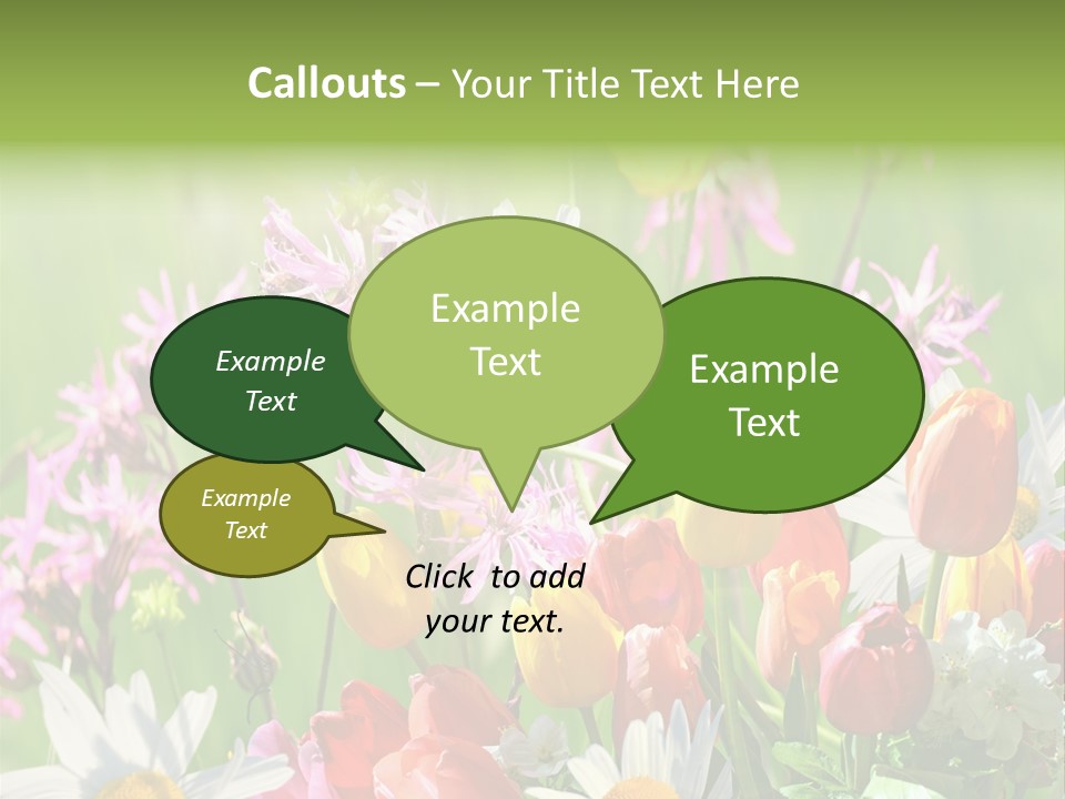 Wiese Blumen Vogelnest PowerPoint Template