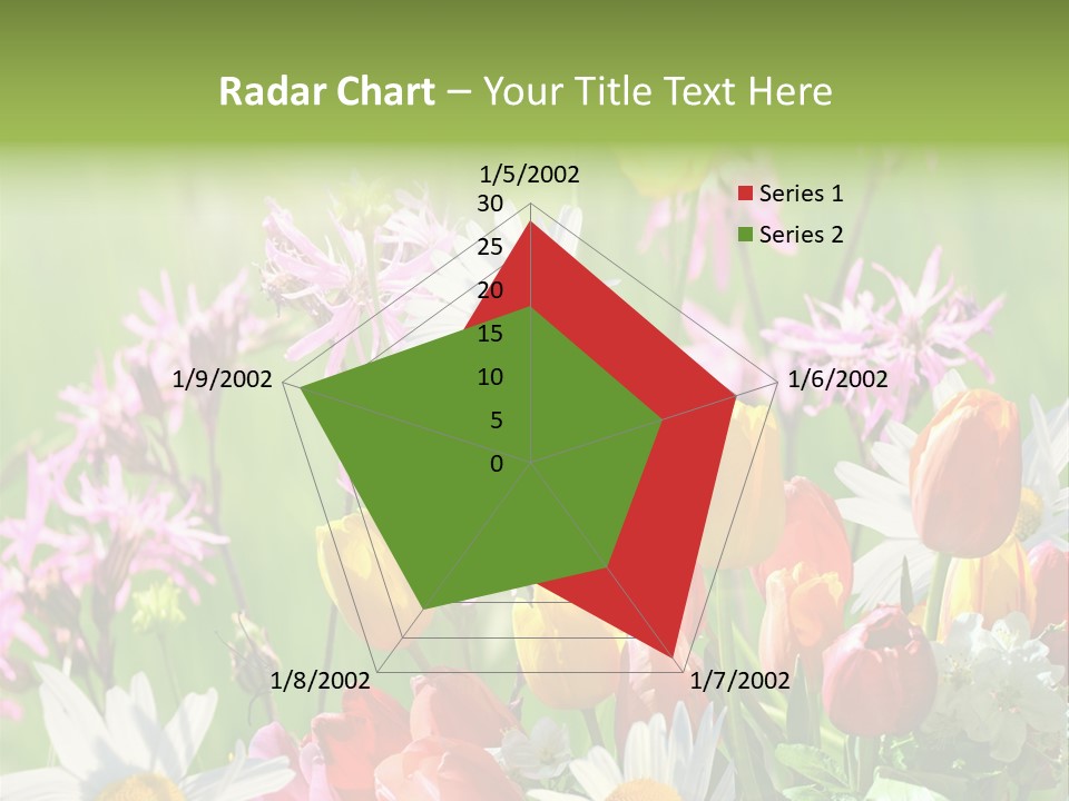 Wiese Blumen Vogelnest PowerPoint Template