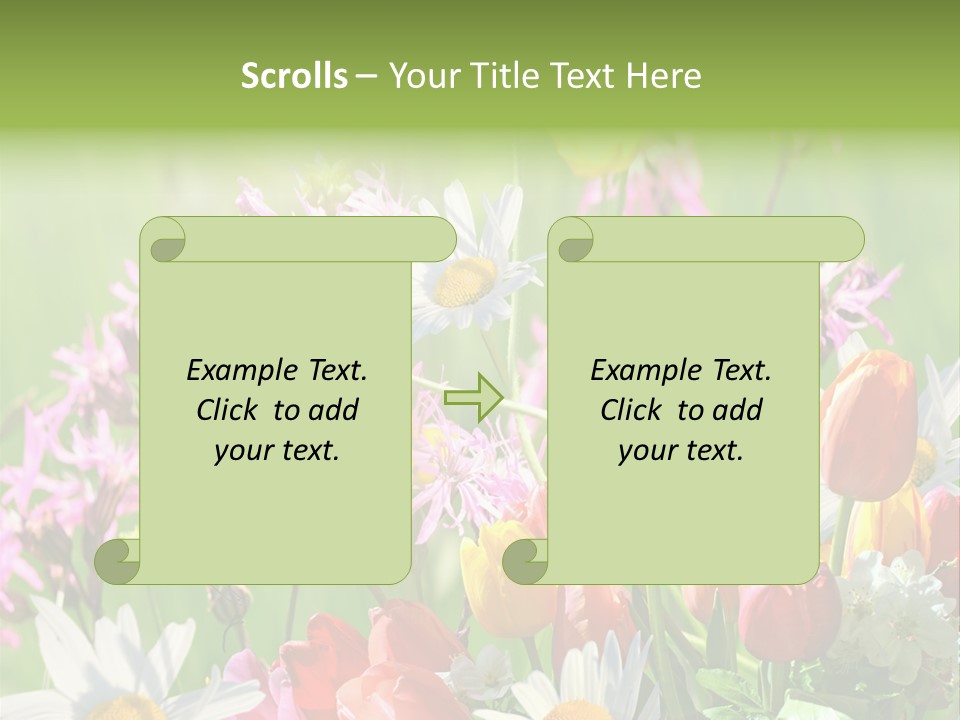 Wiese Blumen Vogelnest PowerPoint Template