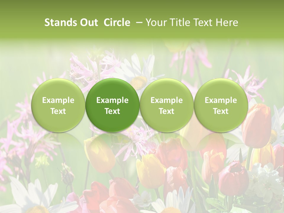 Wiese Blumen Vogelnest PowerPoint Template