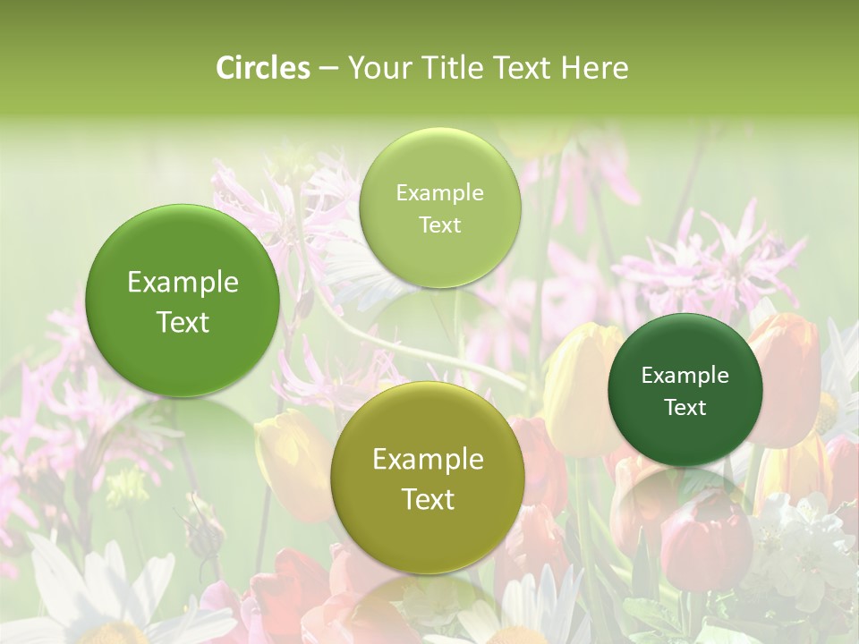 Wiese Blumen Vogelnest PowerPoint Template
