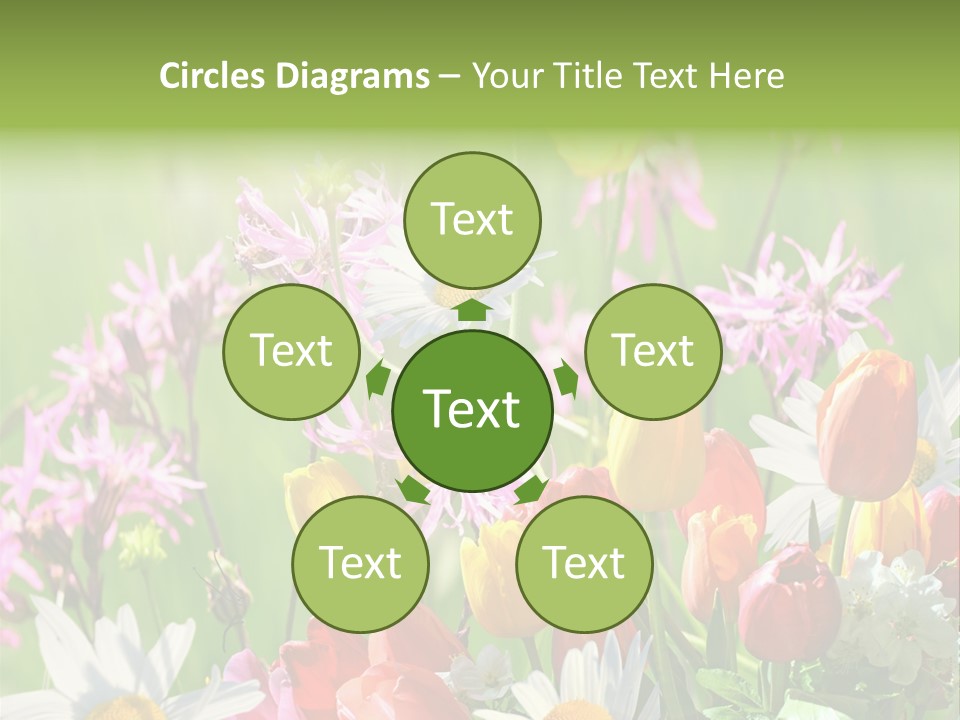 Wiese Blumen Vogelnest PowerPoint Template