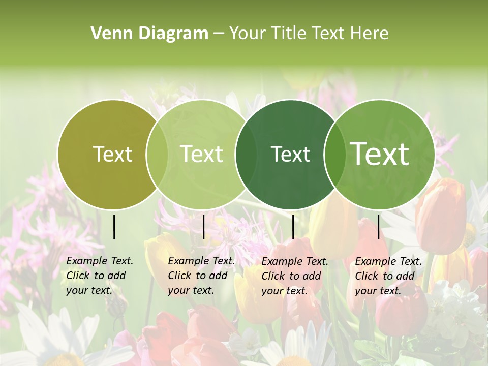 Wiese Blumen Vogelnest PowerPoint Template