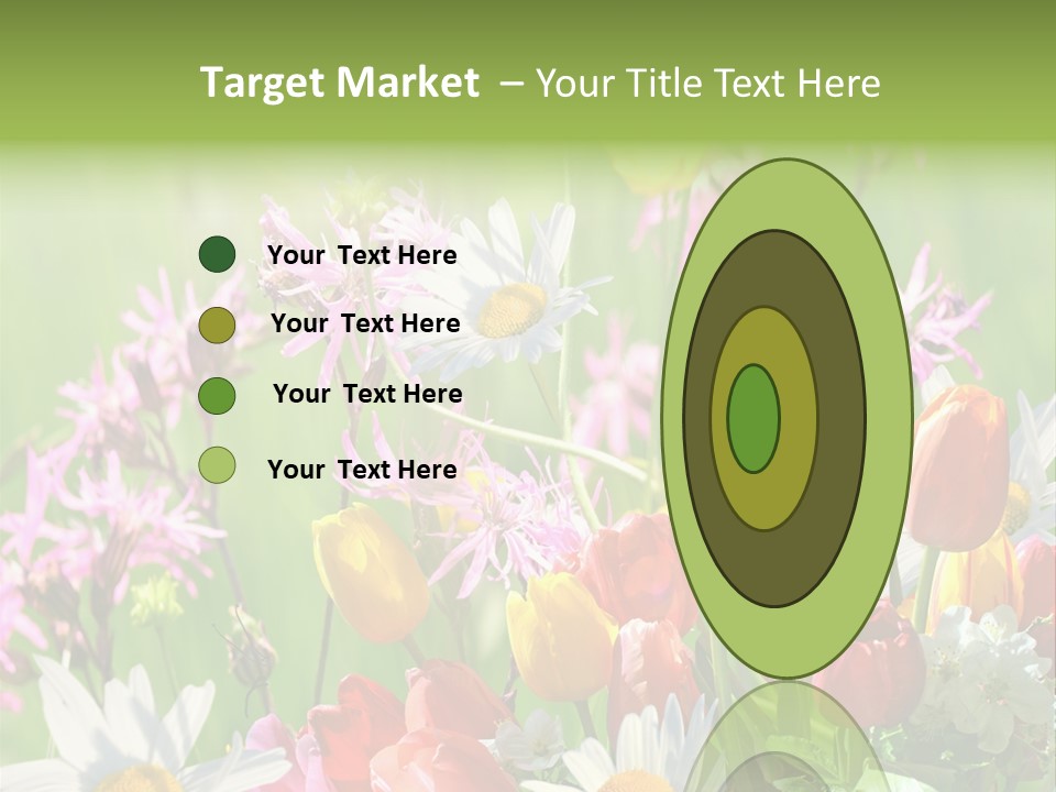 Wiese Blumen Vogelnest PowerPoint Template