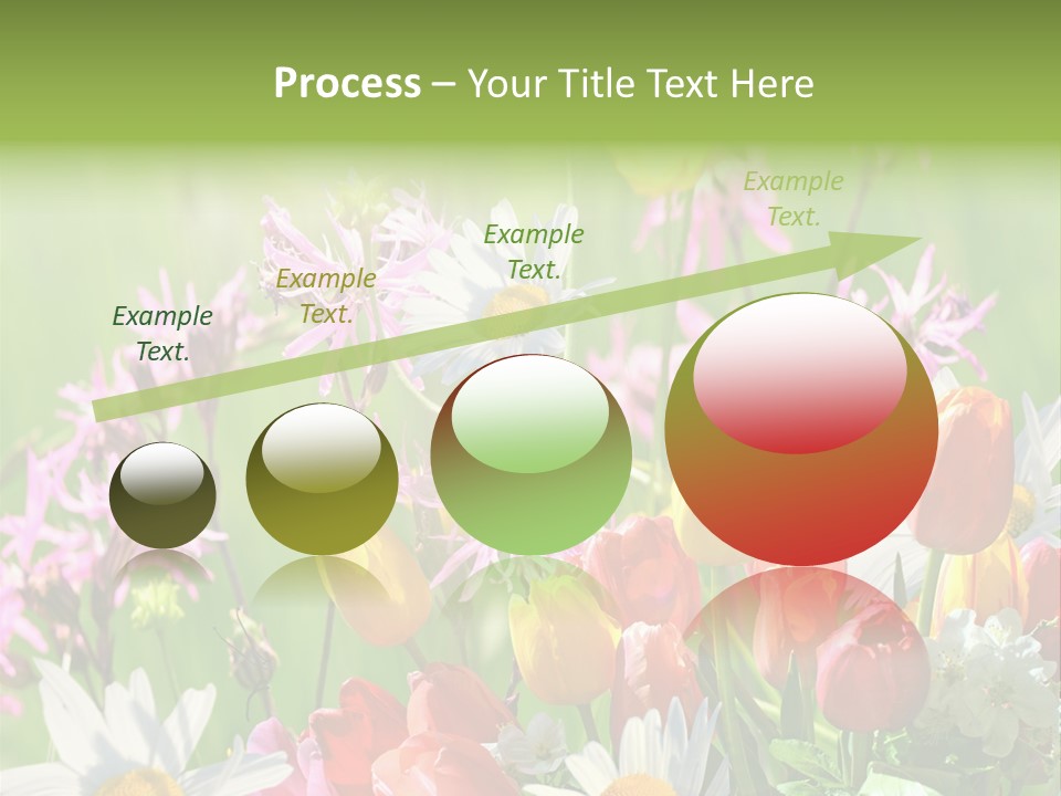 Wiese Blumen Vogelnest PowerPoint Template