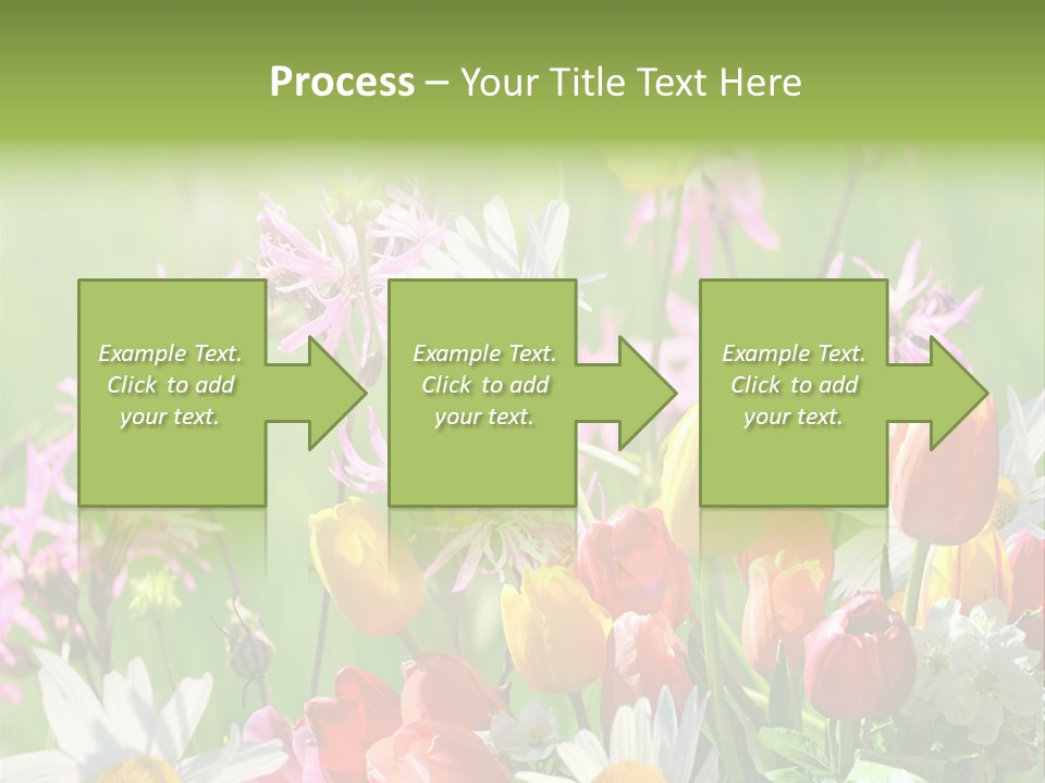 Wiese Blumen Vogelnest PowerPoint Template