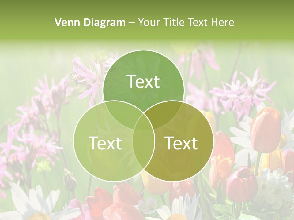 Wiese Blumen Vogelnest PowerPoint Template