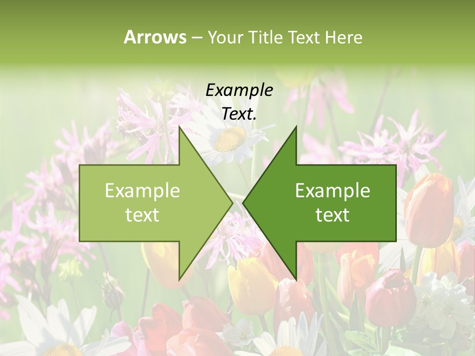 Wiese Blumen Vogelnest PowerPoint Template