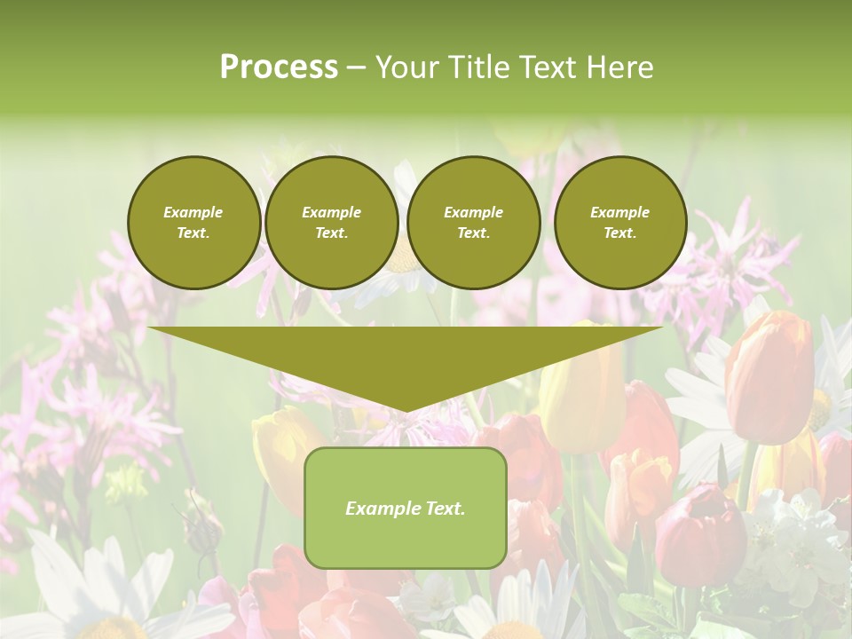 Wiese Blumen Vogelnest PowerPoint Template