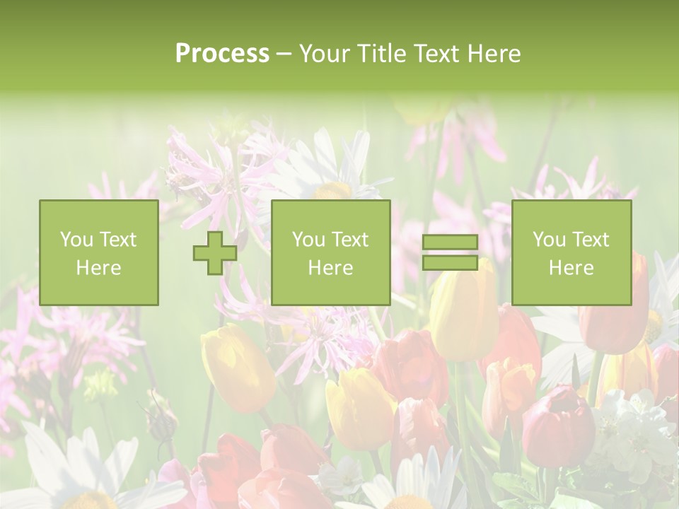 Wiese Blumen Vogelnest PowerPoint Template