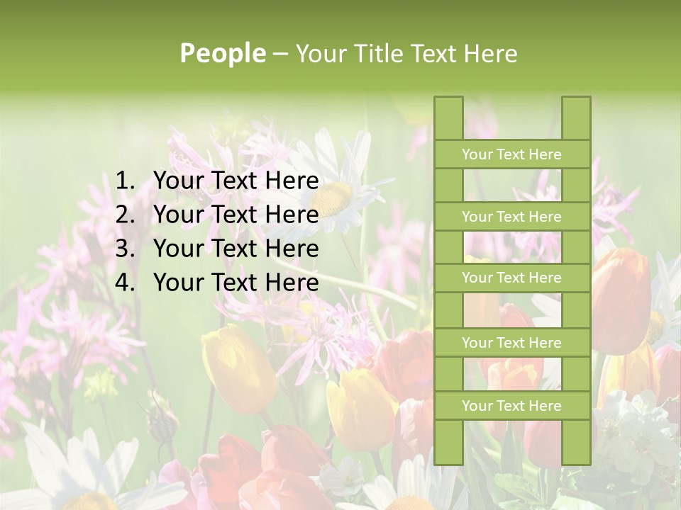 Wiese Blumen Vogelnest PowerPoint Template