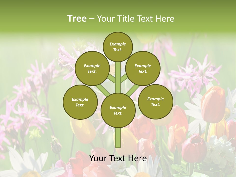 Wiese Blumen Vogelnest PowerPoint Template