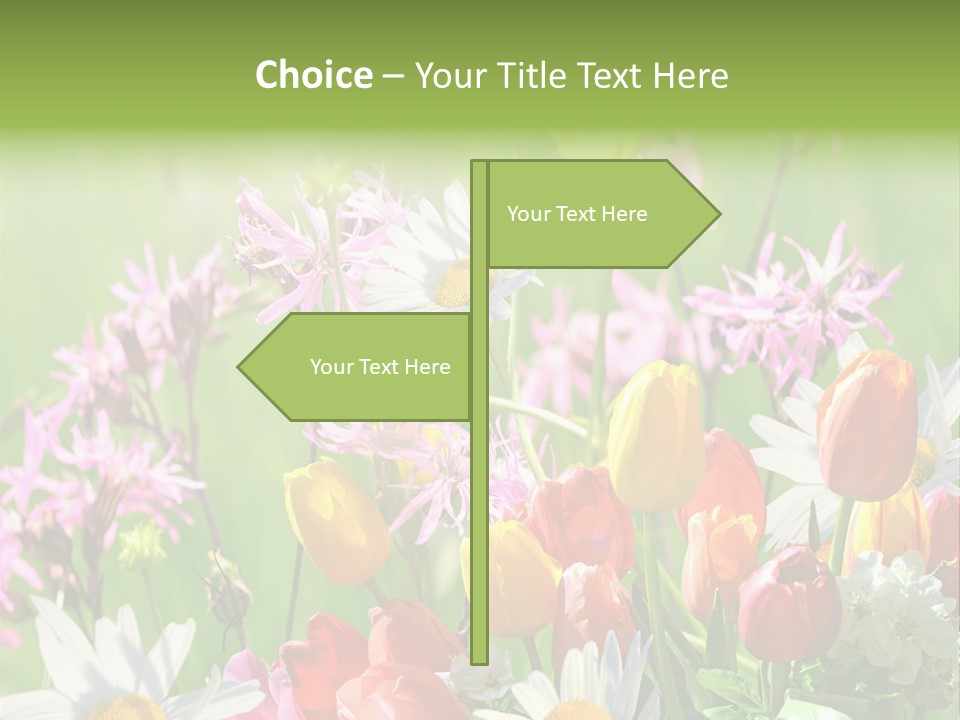 Wiese Blumen Vogelnest PowerPoint Template