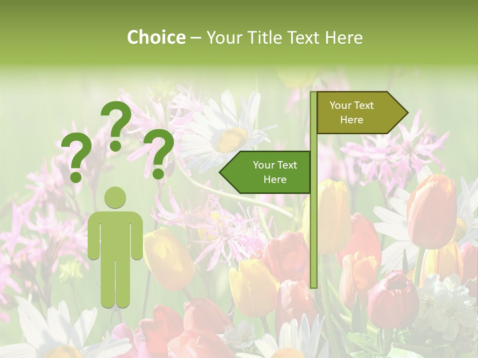 Wiese Blumen Vogelnest PowerPoint Template