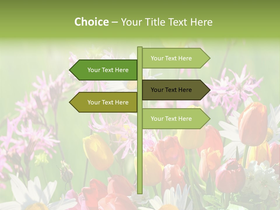 Wiese Blumen Vogelnest PowerPoint Template