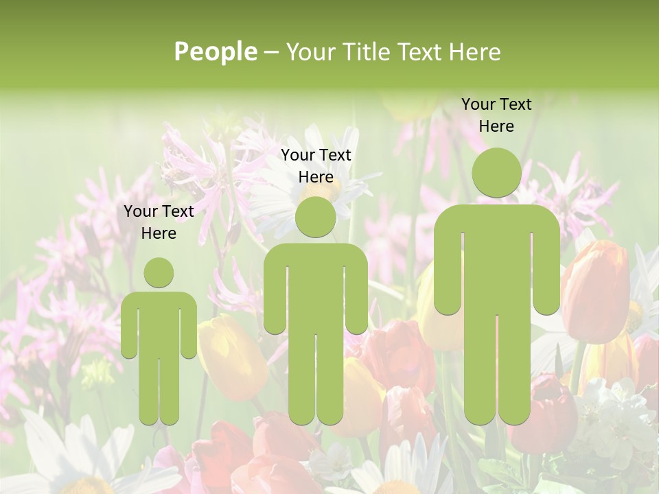 Wiese Blumen Vogelnest PowerPoint Template