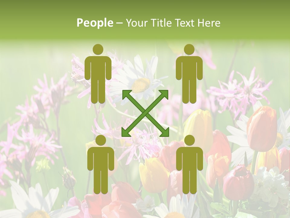 Wiese Blumen Vogelnest PowerPoint Template