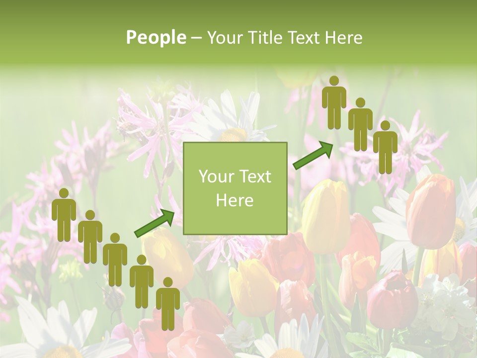 Wiese Blumen Vogelnest PowerPoint Template