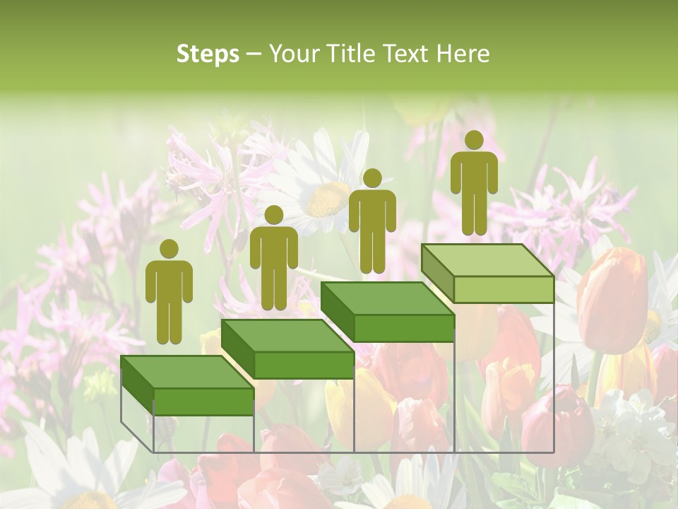 Wiese Blumen Vogelnest PowerPoint Template