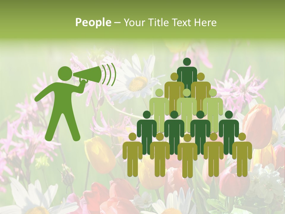 Wiese Blumen Vogelnest PowerPoint Template