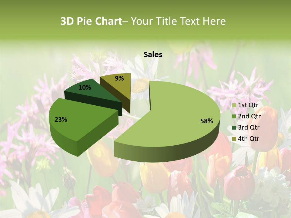 Wiese Blumen Vogelnest PowerPoint Template