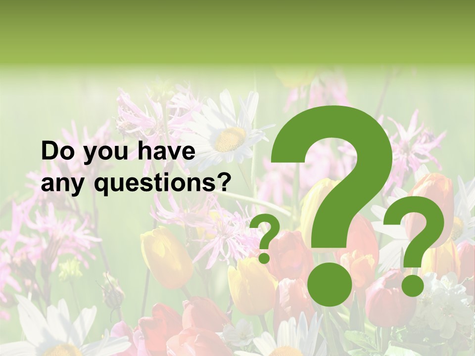 Wiese Blumen Vogelnest PowerPoint Template