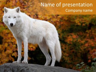 Predator Watchful Eyes PowerPoint Template