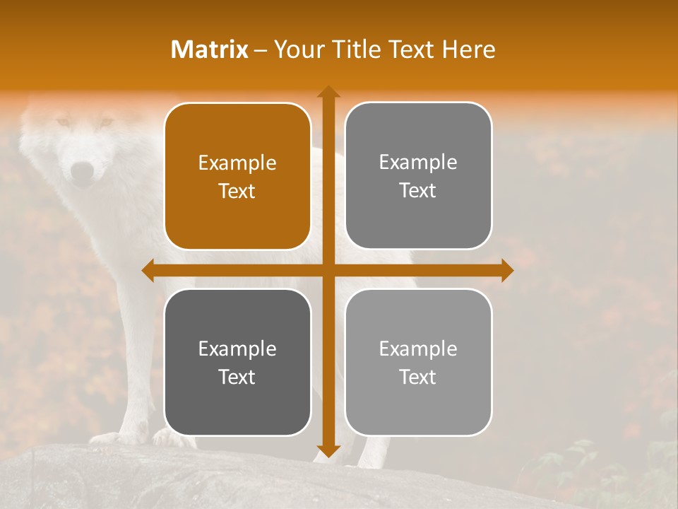 Predator Watchful Eyes PowerPoint Template