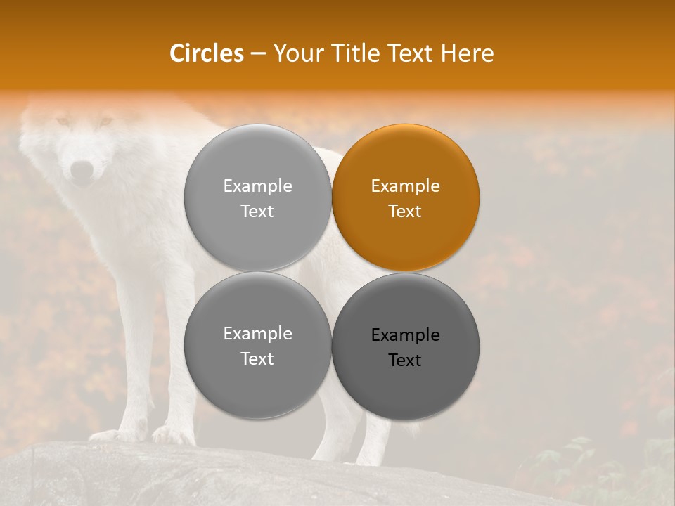 Predator Watchful Eyes PowerPoint Template