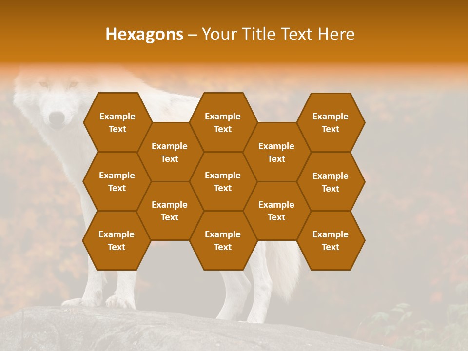 Predator Watchful Eyes PowerPoint Template