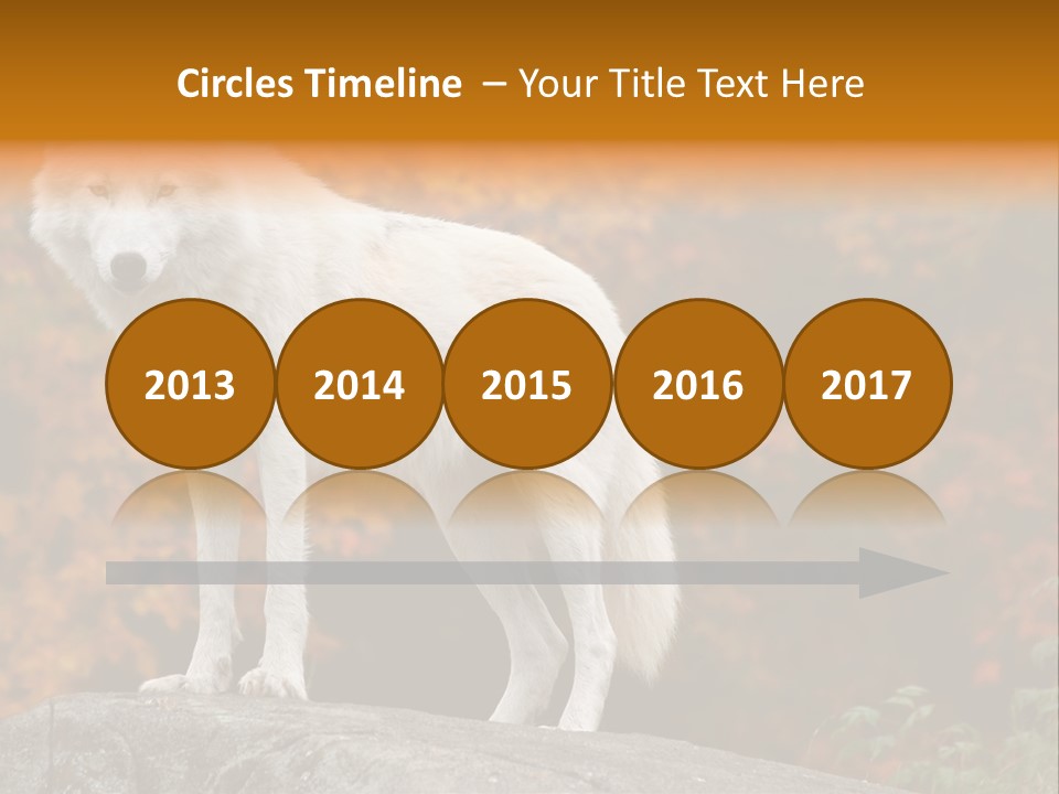 Predator Watchful Eyes PowerPoint Template