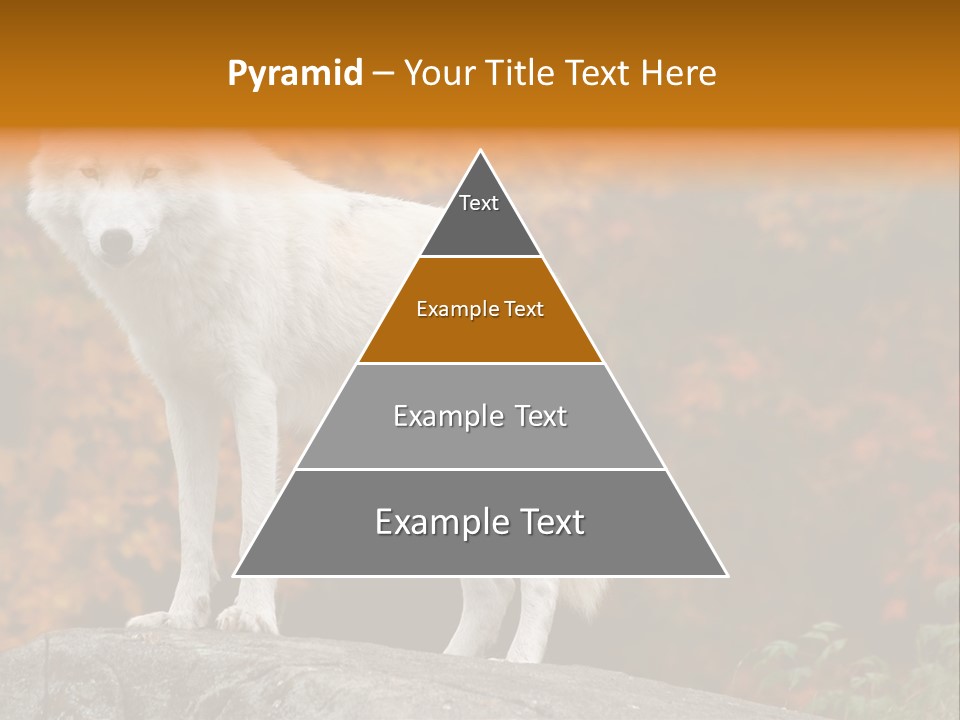 Predator Watchful Eyes PowerPoint Template