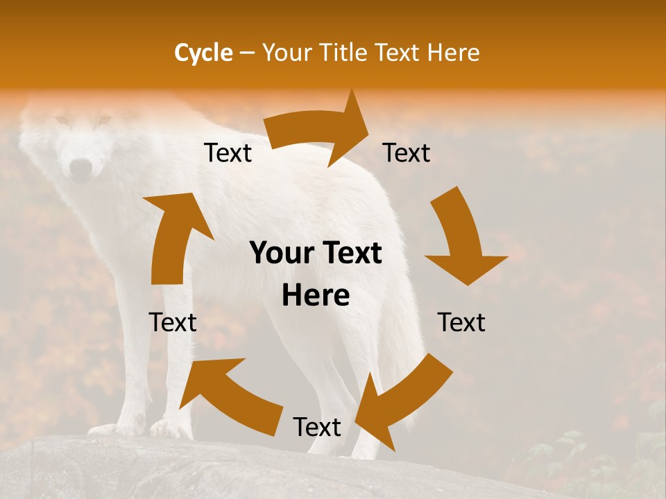 Predator Watchful Eyes PowerPoint Template