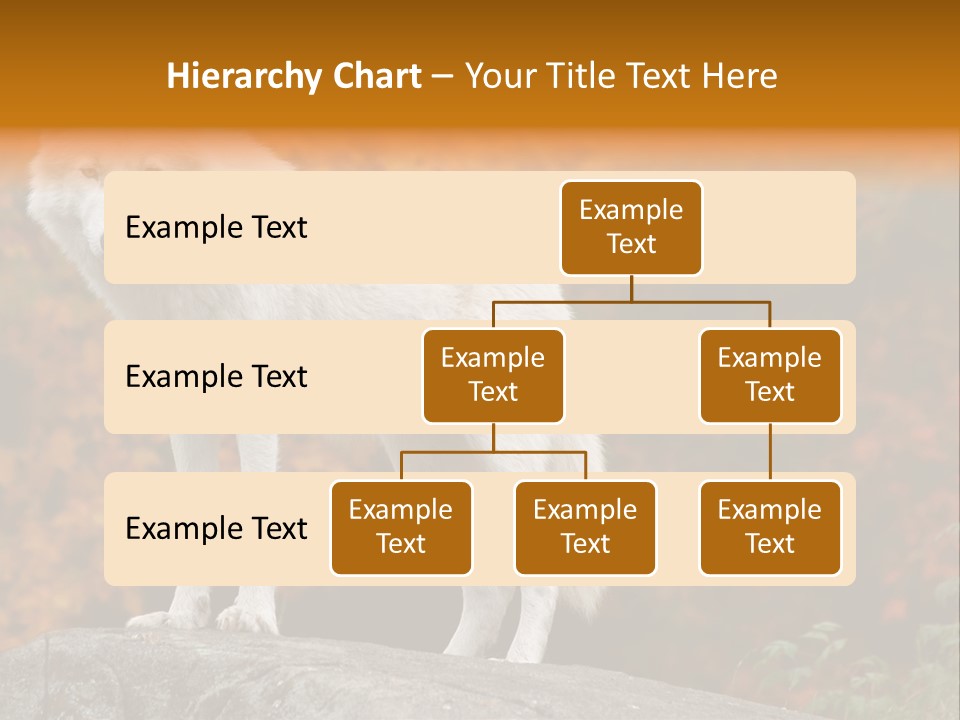 Predator Watchful Eyes PowerPoint Template