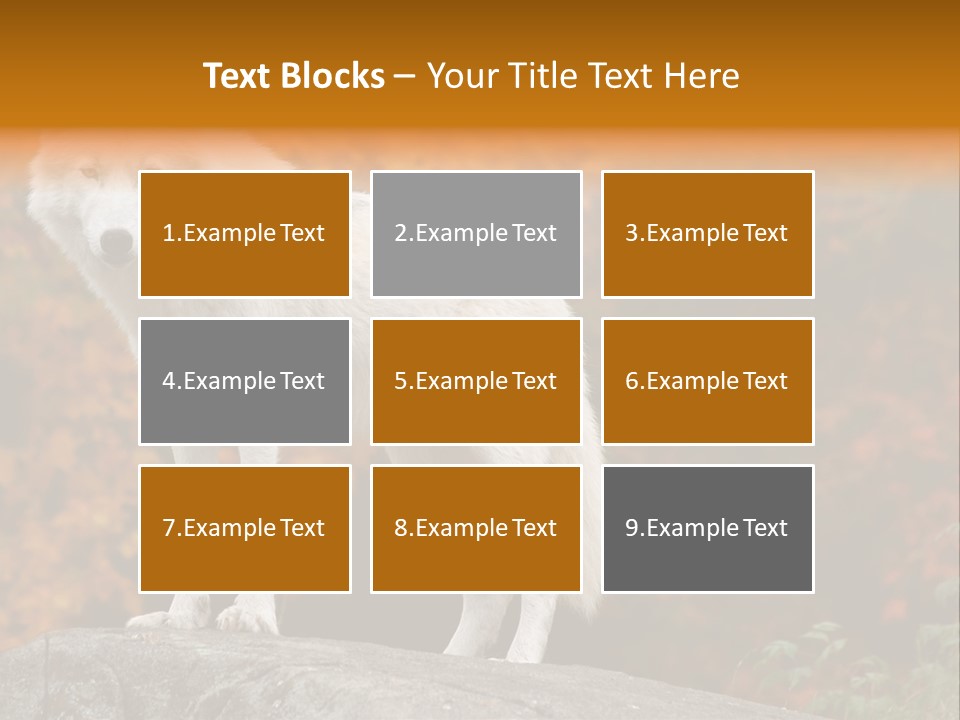 Predator Watchful Eyes PowerPoint Template