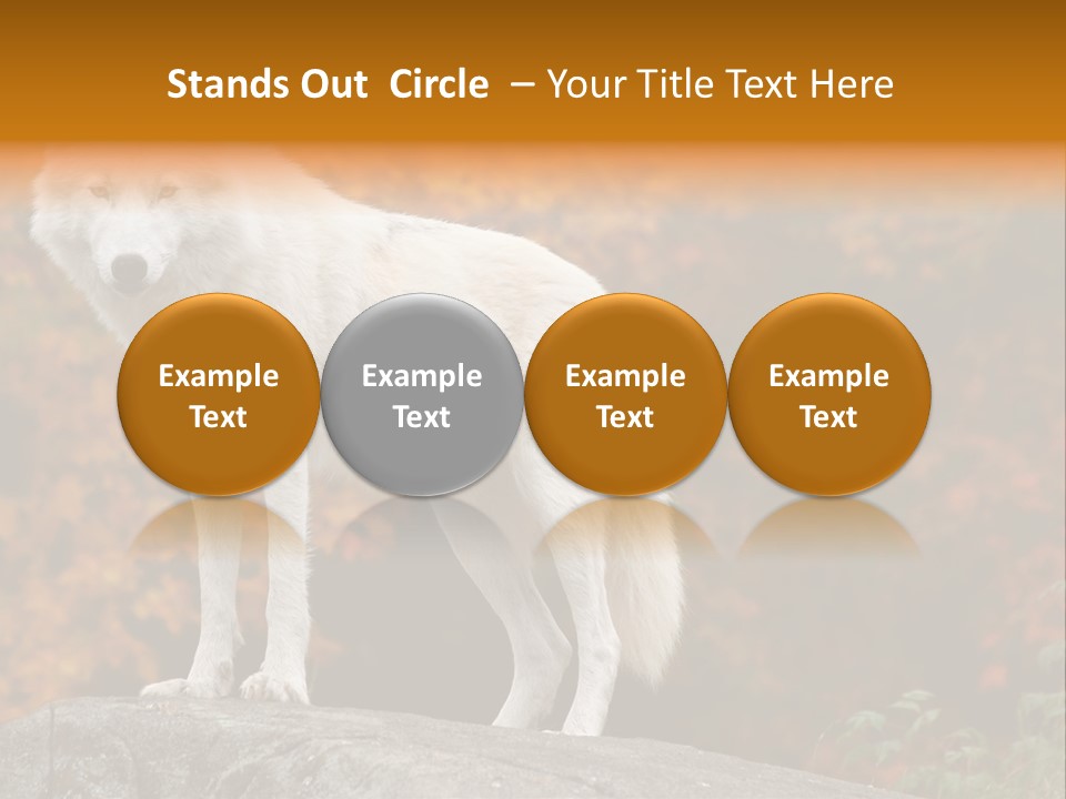 Predator Watchful Eyes PowerPoint Template