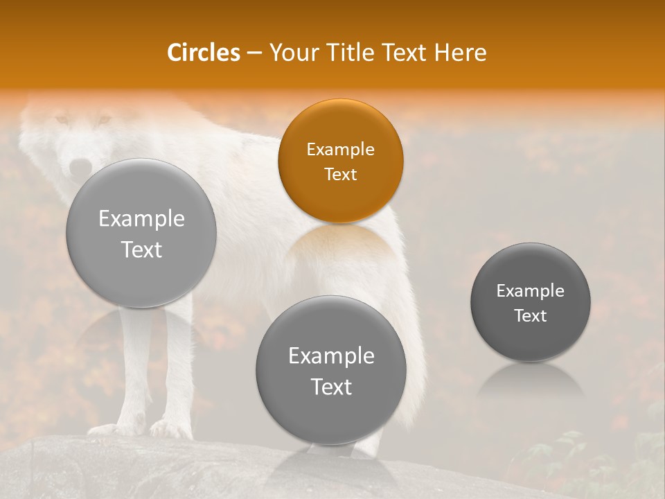 Predator Watchful Eyes PowerPoint Template