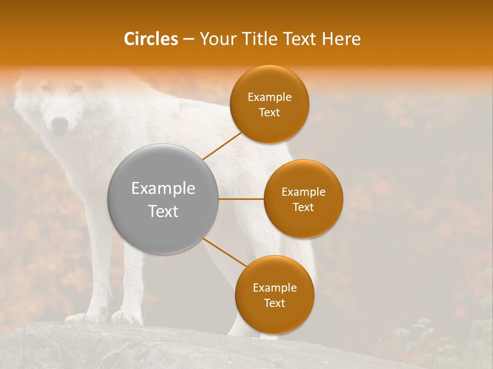 Predator Watchful Eyes PowerPoint Template