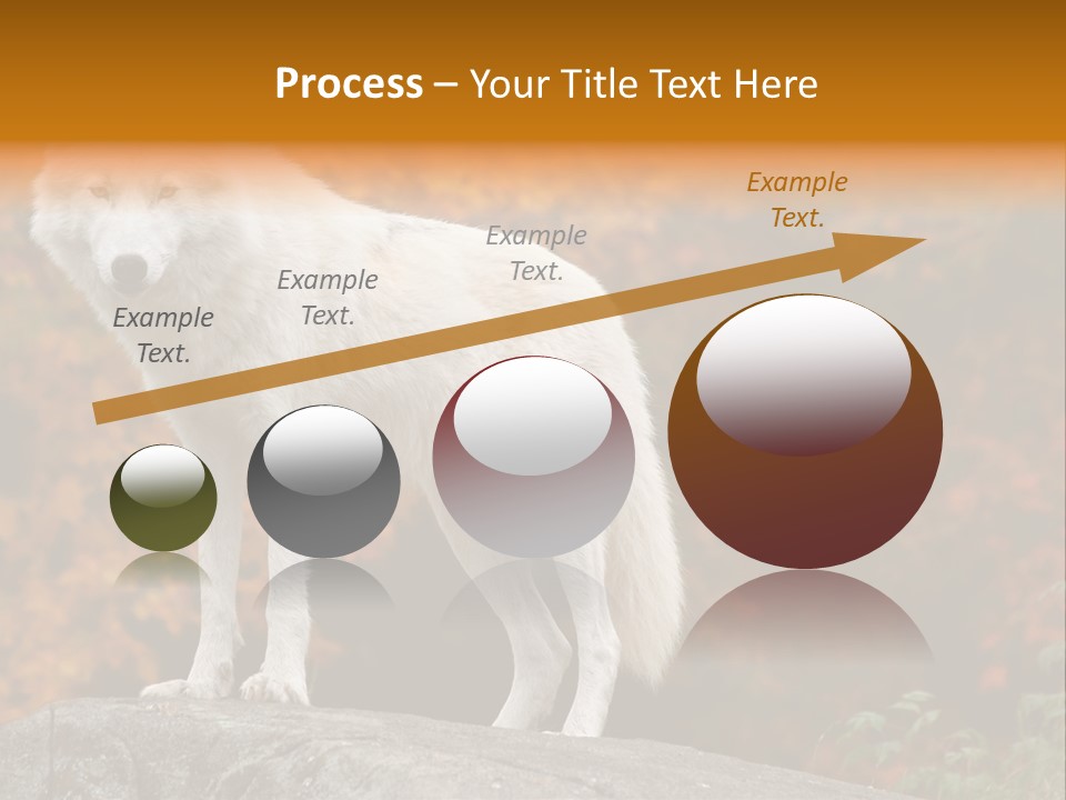 Predator Watchful Eyes PowerPoint Template