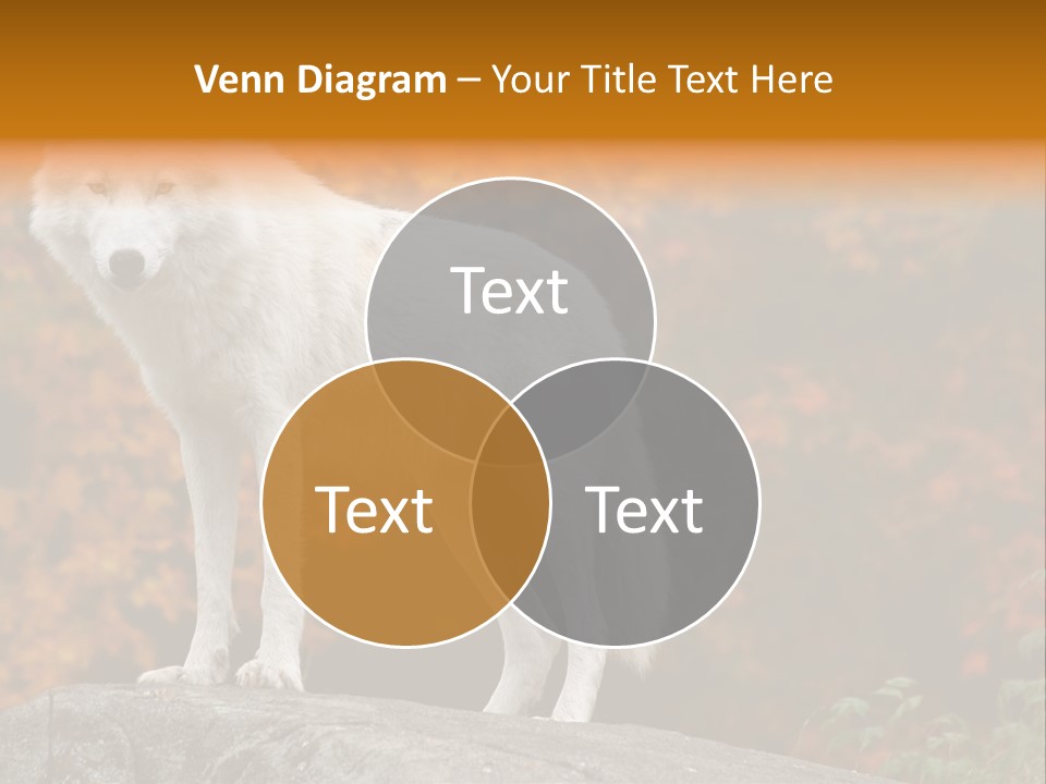 Predator Watchful Eyes PowerPoint Template