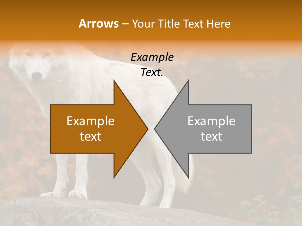 Predator Watchful Eyes PowerPoint Template